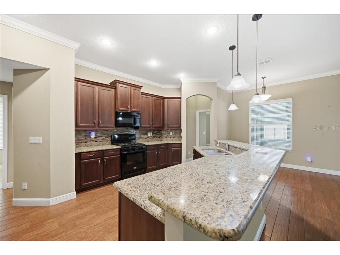 3017 Via Siena Street Plant City FL 33566 TB8452683 image5