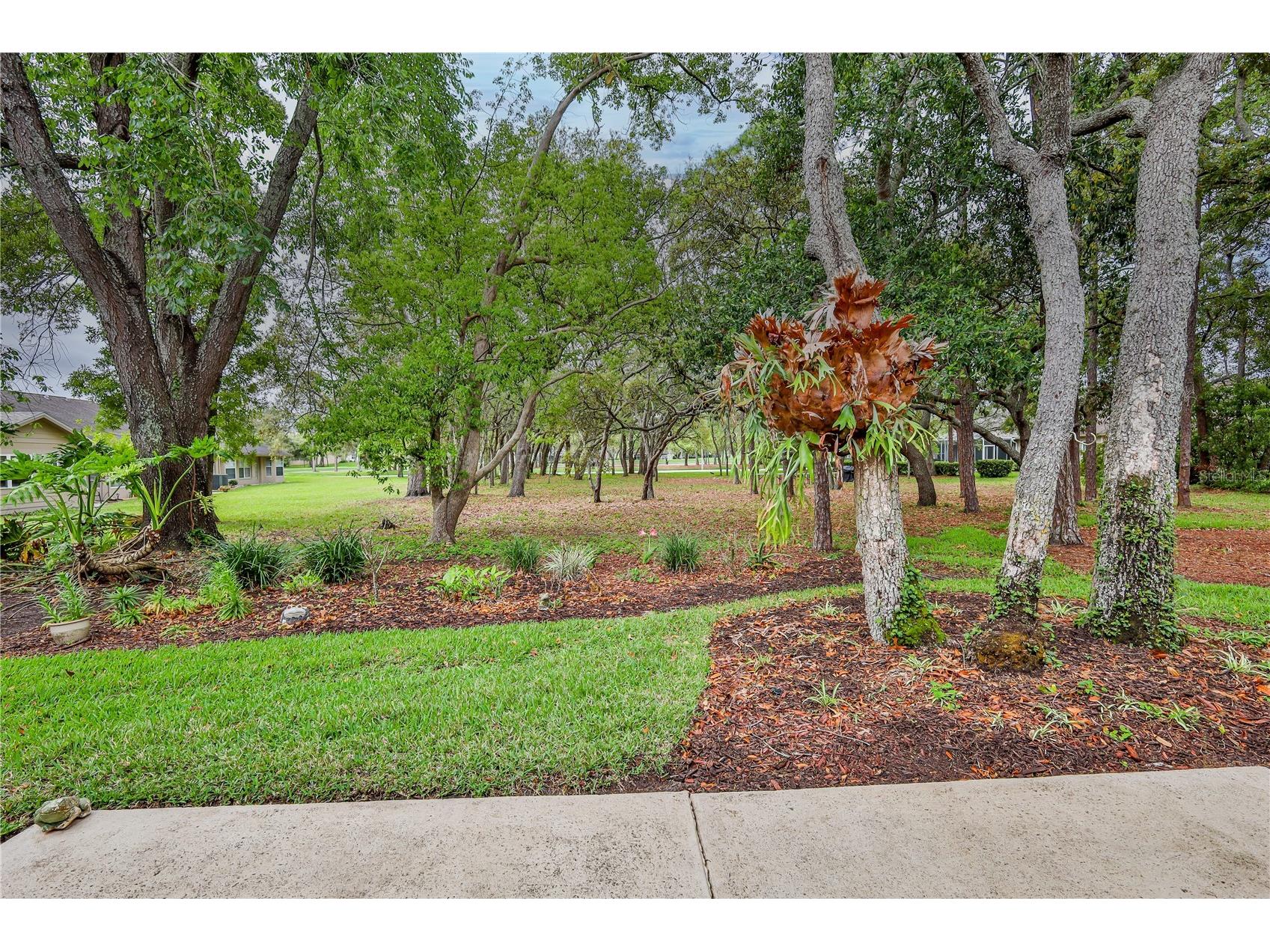 3017 Whispering Pines Court Spring Hill FL 34606 W7884697 image33