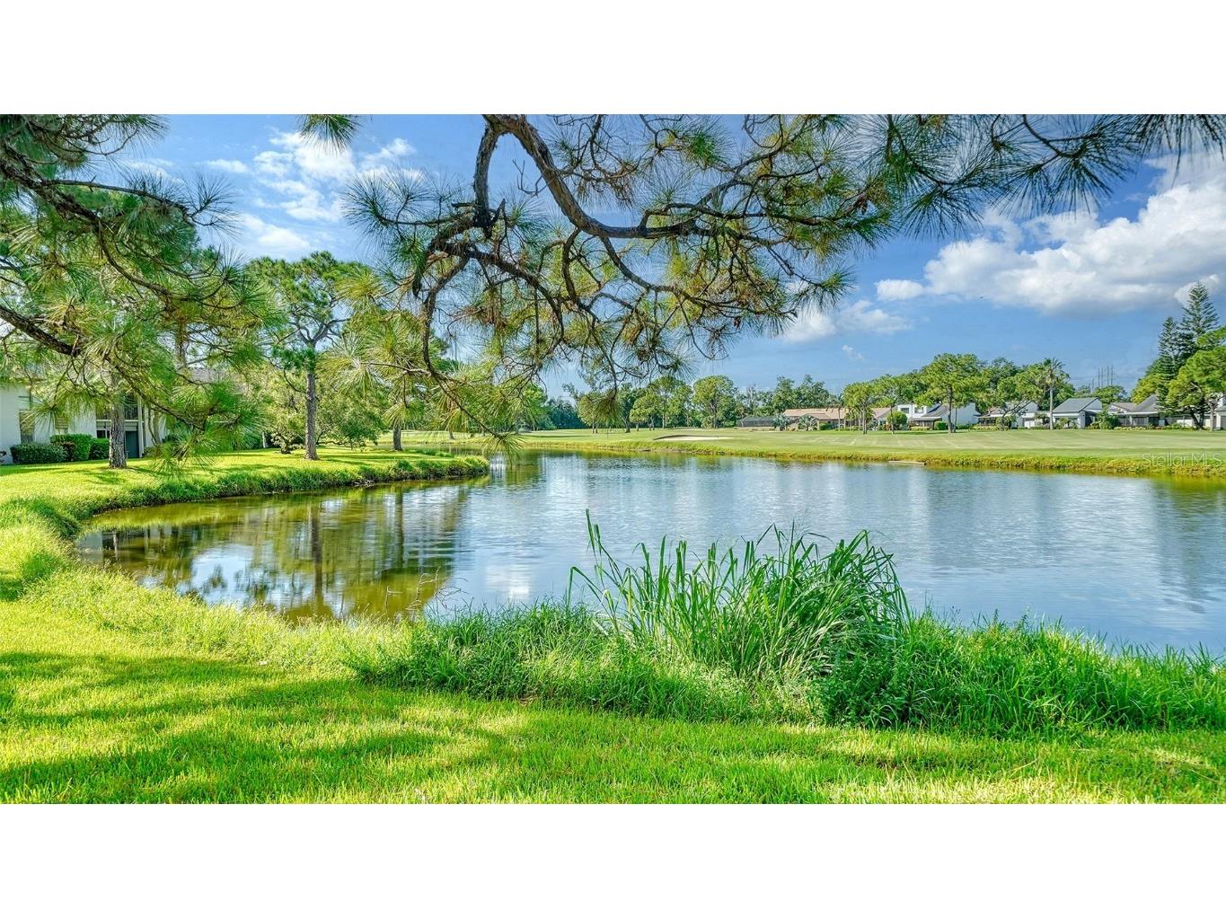 3017 Willow Green #18 Sarasota FL 34235 A4616056 image2