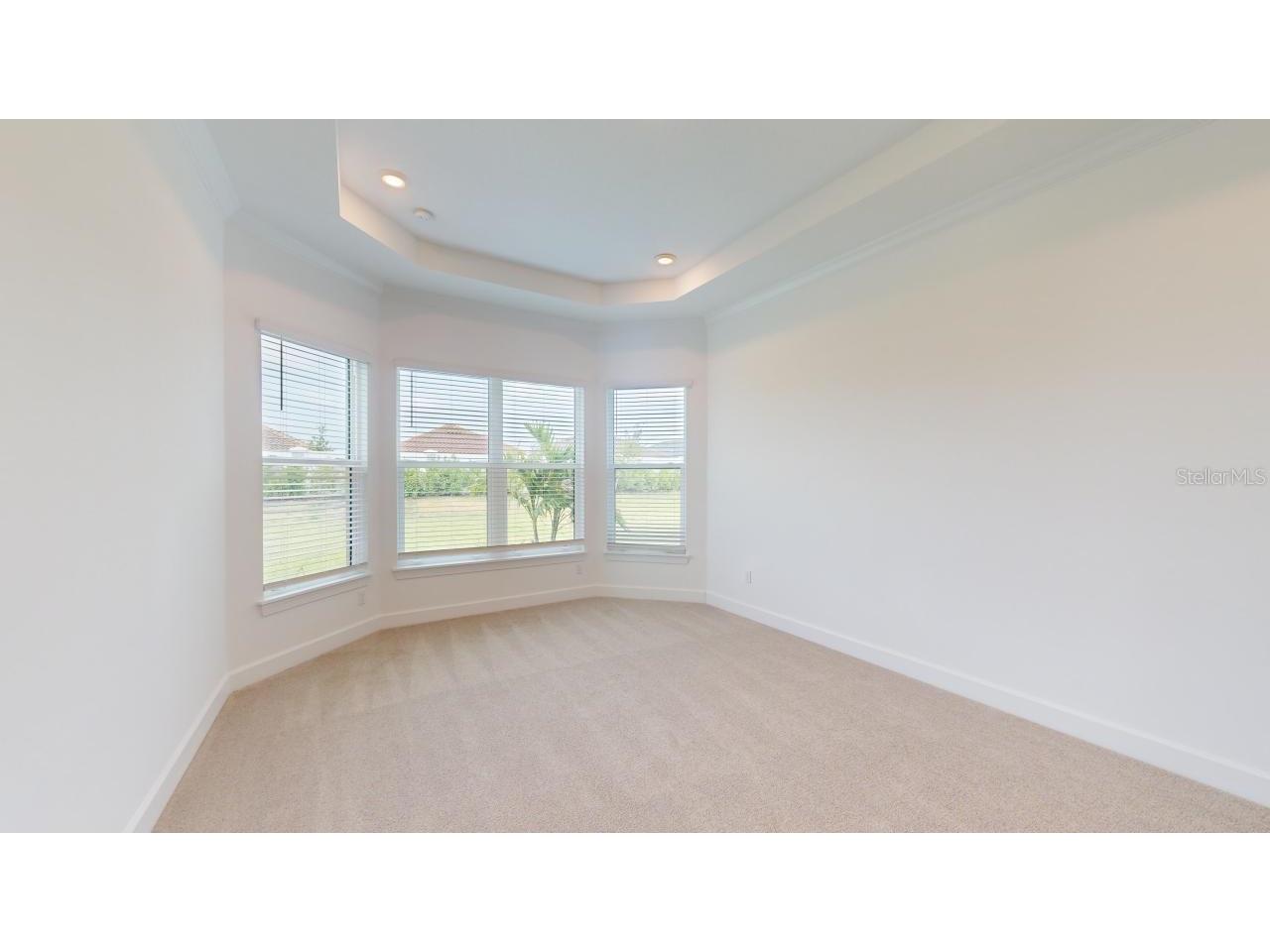30175 Imperati Boulevard Wesley Chapel FL 33543 TB8507540 image16