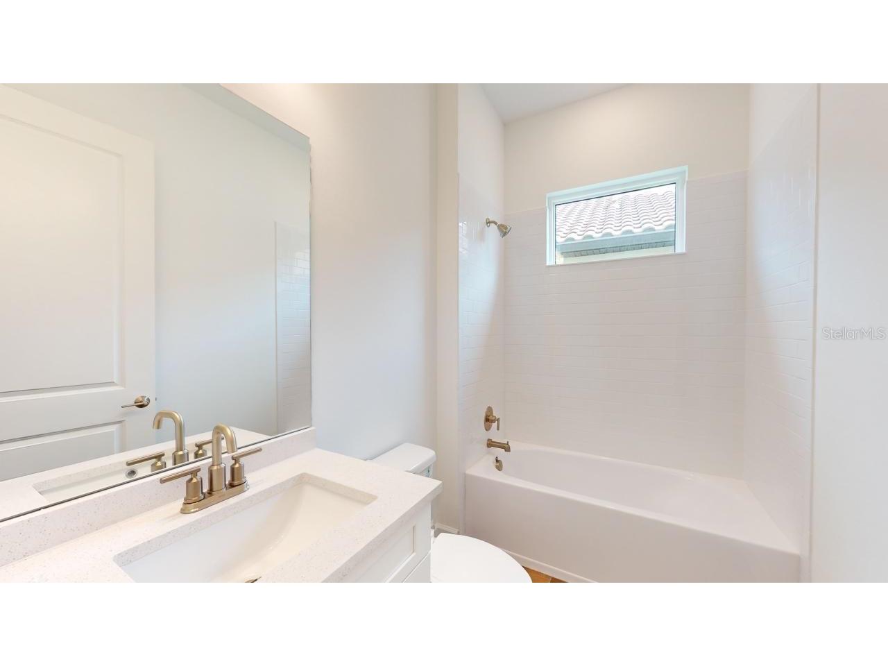30175 Imperati Boulevard Wesley Chapel FL 33543 TB8507540 image19