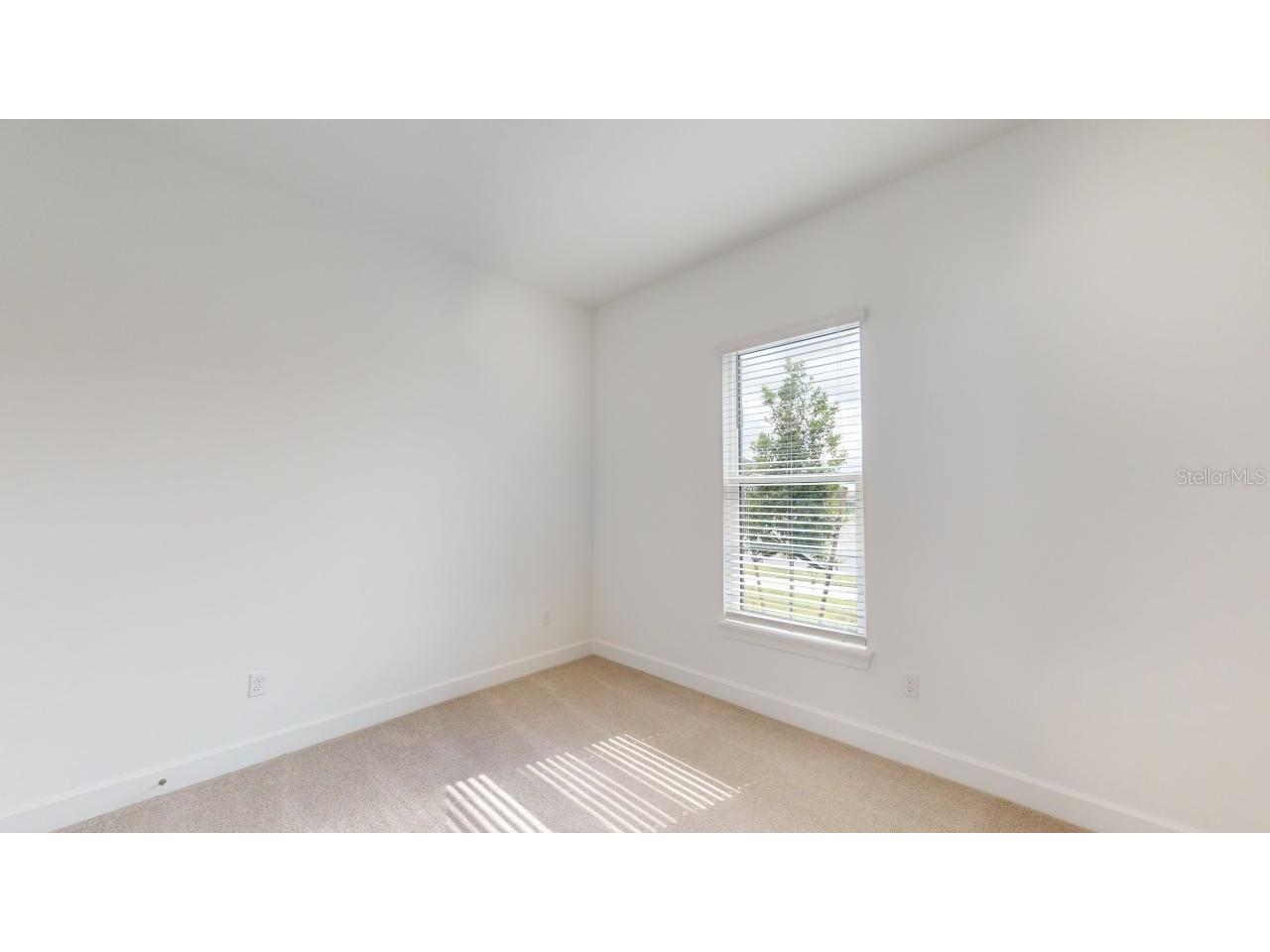 30175 Imperati Boulevard Wesley Chapel FL 33543 TB8507540 image20