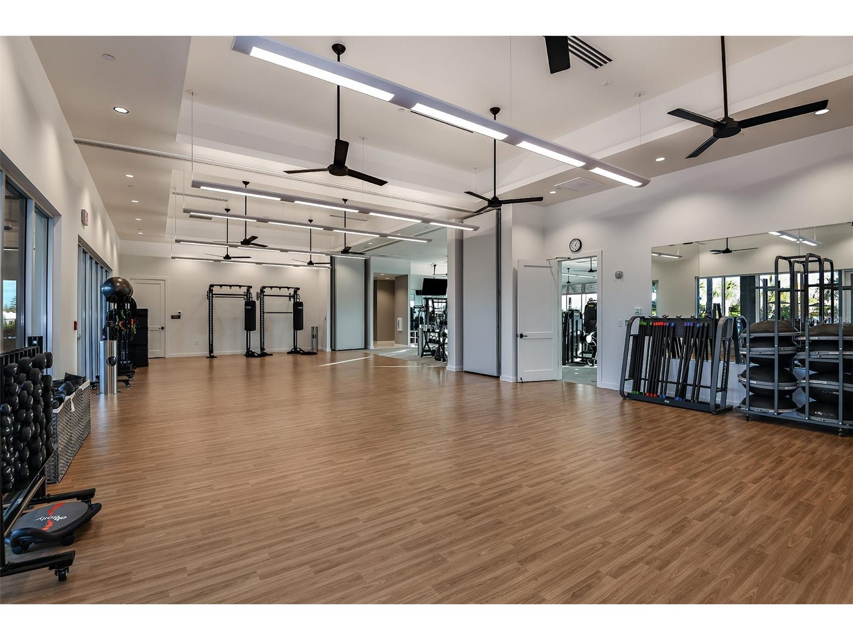 30175 Imperati Boulevard Wesley Chapel FL 33543 TB8507540 image23