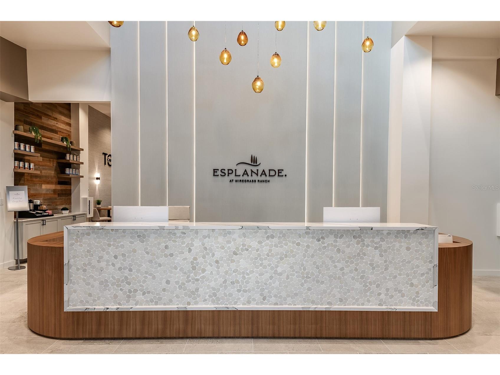 30175 Imperati Boulevard Wesley Chapel FL 33543 TB8507540 image33