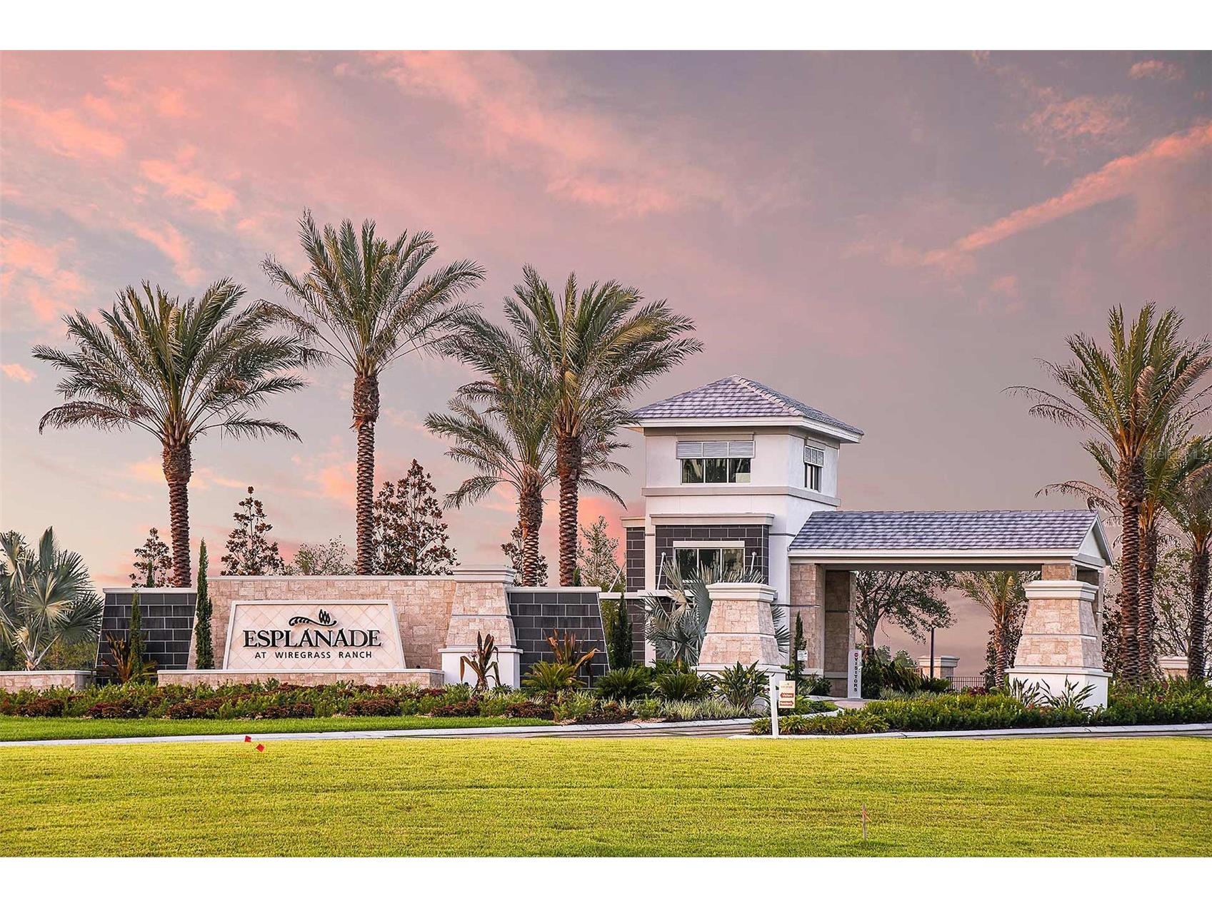 30175 Imperati Boulevard Wesley Chapel FL 33543 TB8507540 image40