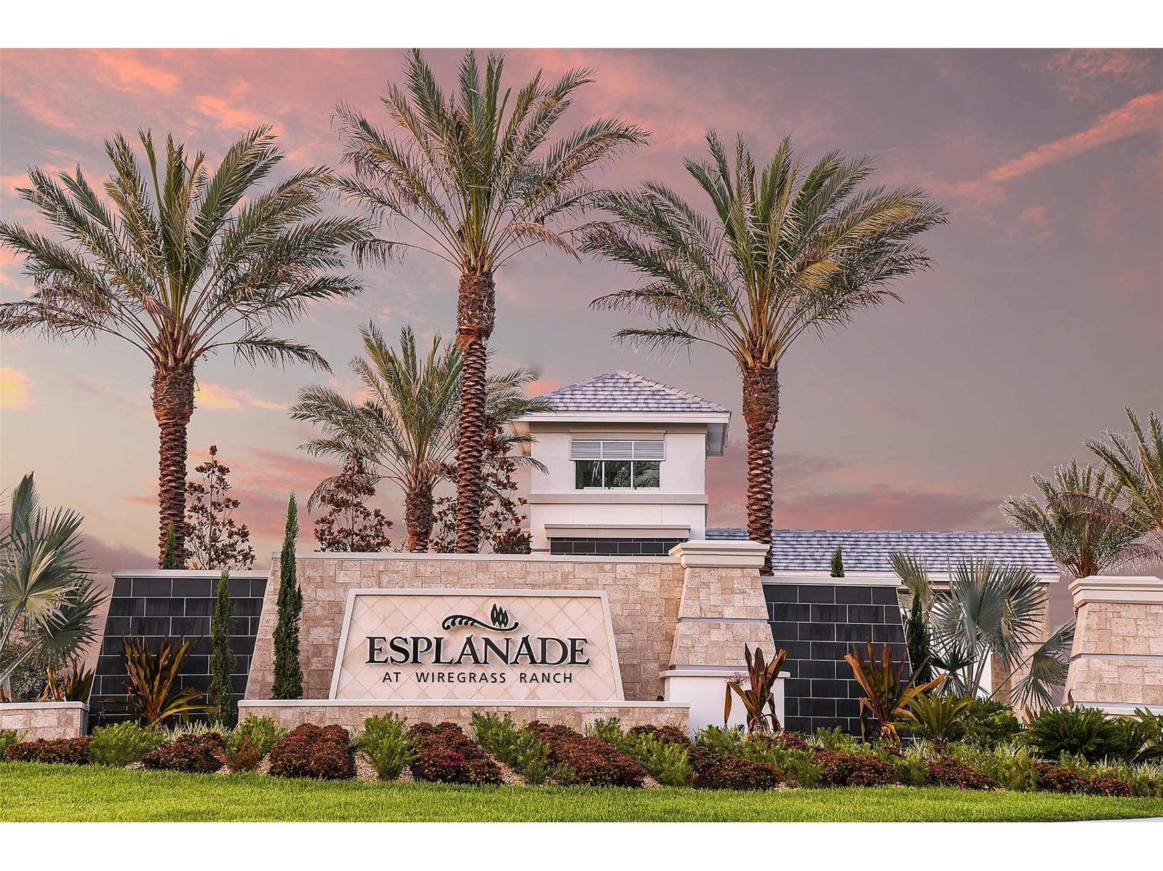 30175 Imperati Boulevard Wesley Chapel FL 33543 TB8507540 image41