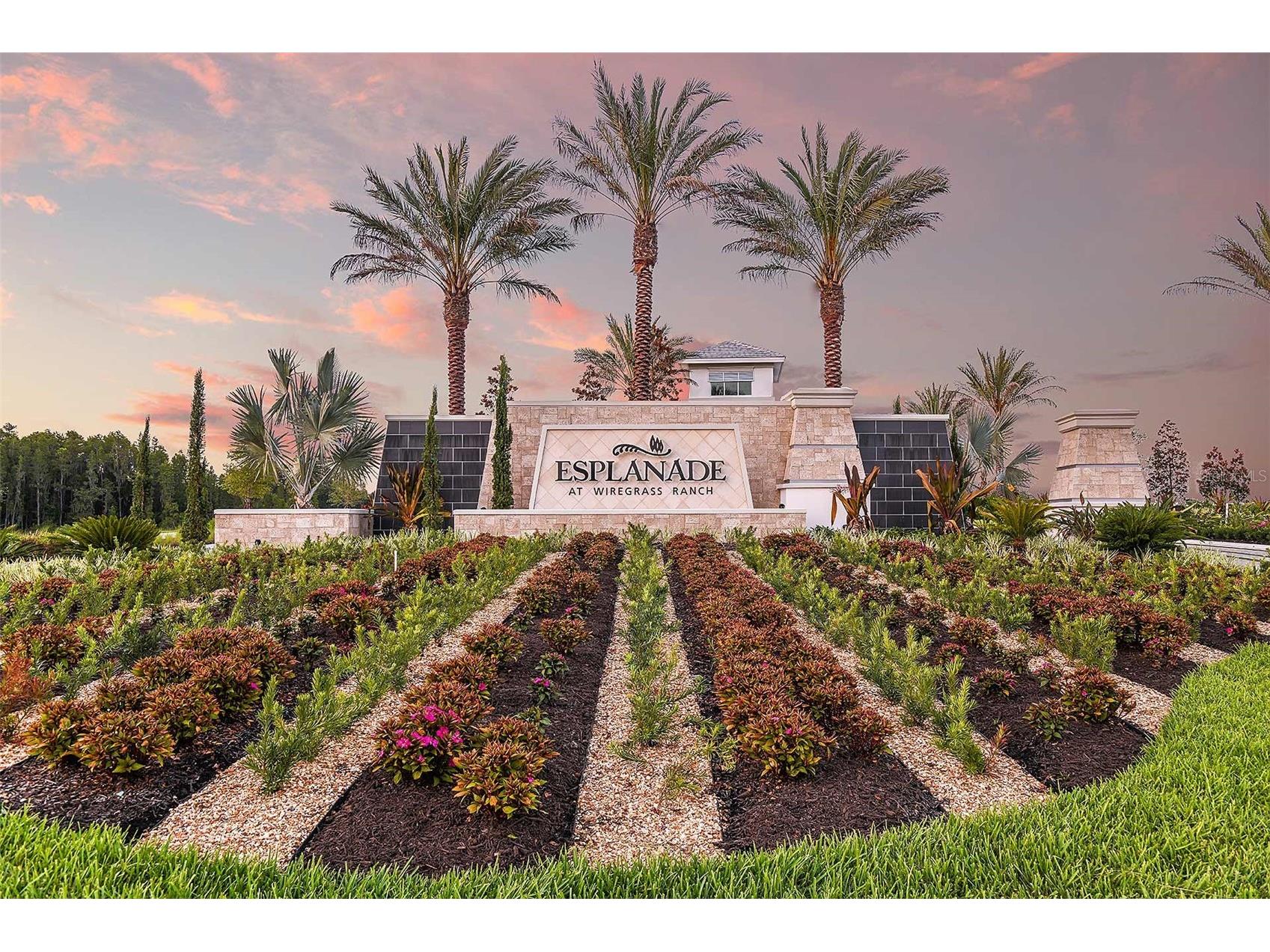 30175 Imperati Boulevard Wesley Chapel FL 33543 TB8507540 image42