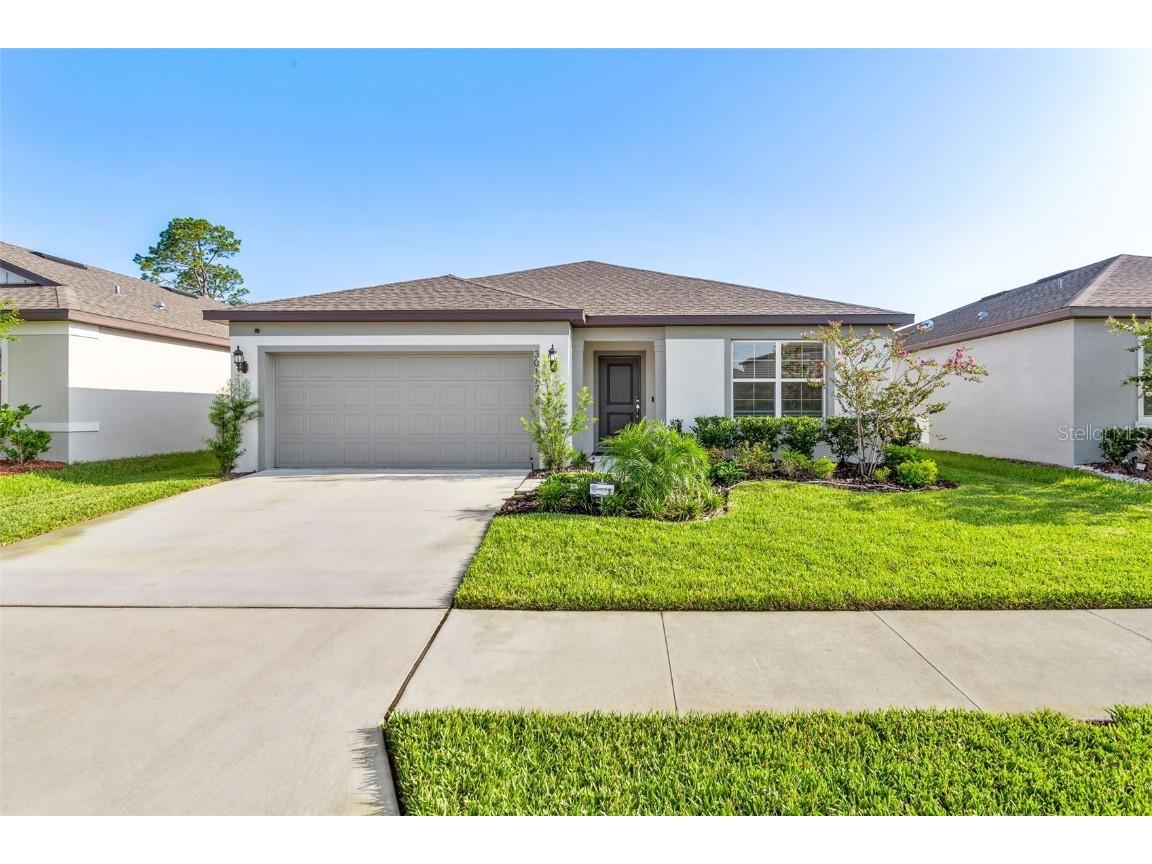 30177 Merilee Place Wesley Chapel FL 33545 T3463970 image1