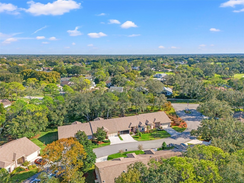 3018 Appleblossom Trail Spring Hill FL 34606 W7881481 image39