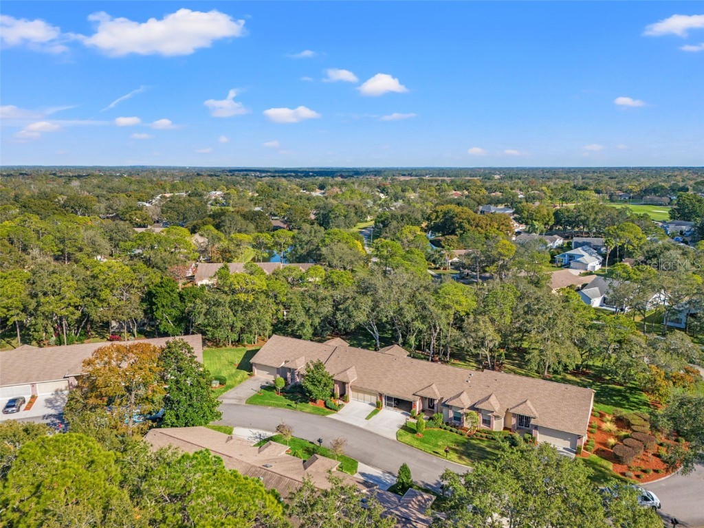 3018 Appleblossom Trail Spring Hill FL 34606 W7881481 image40