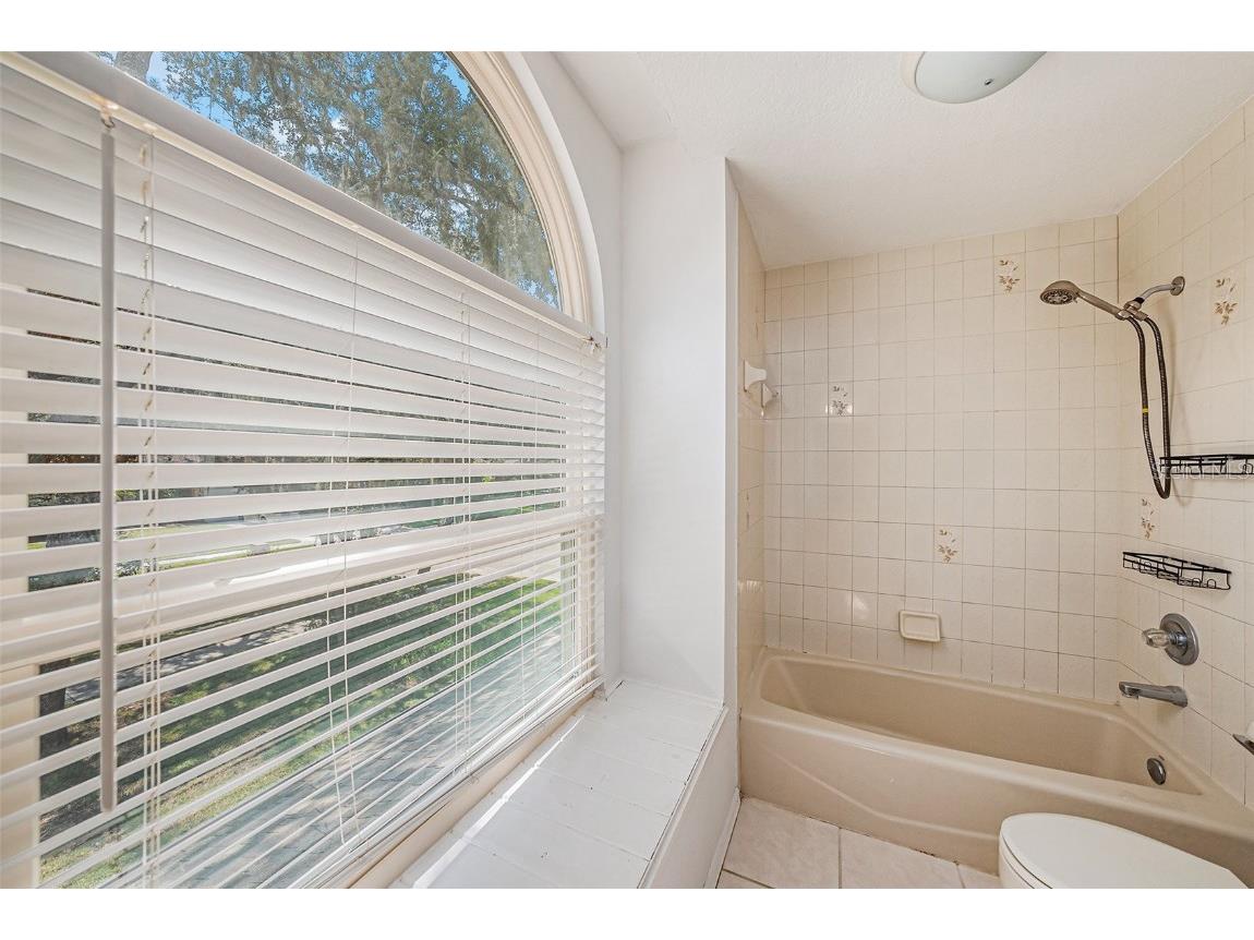 3018 Colonial Ridge Drive Brandon FL 33511 TB8409887 image27