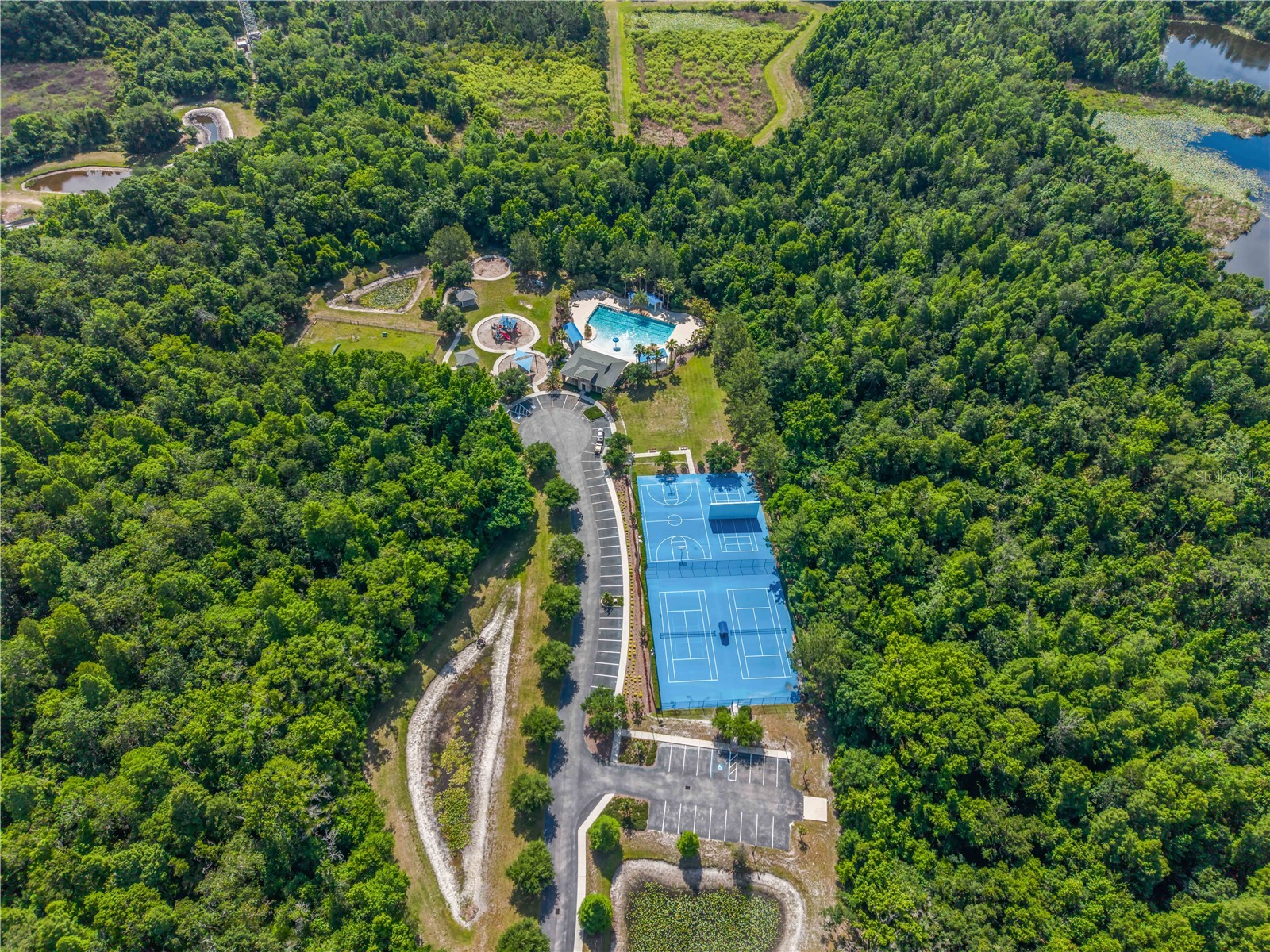 3018 Cordoba Ranch Boulevard Lutz FL 33559 O6400455 image54