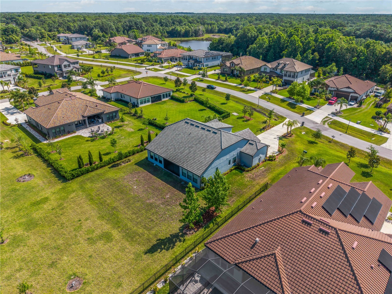 3018 Cordoba Ranch Boulevard Lutz FL 33559 O6400455 image60