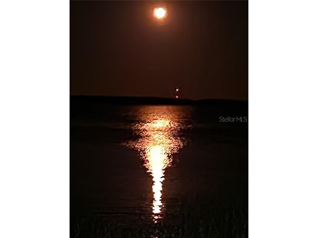 3018 Mark Lane Lake Wales FL 33898 - LAKE ROSALIE P4936597 image59