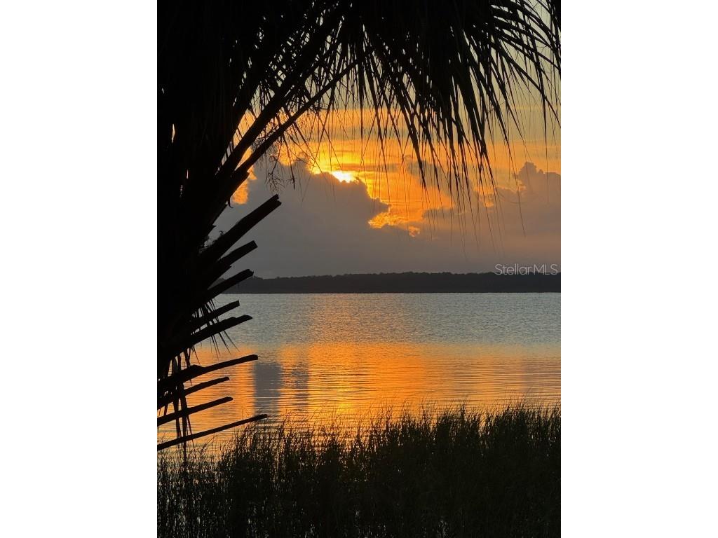 3018 Mark Lane Lake Wales FL 33898 - LAKE ROSALIE P4936597 image61