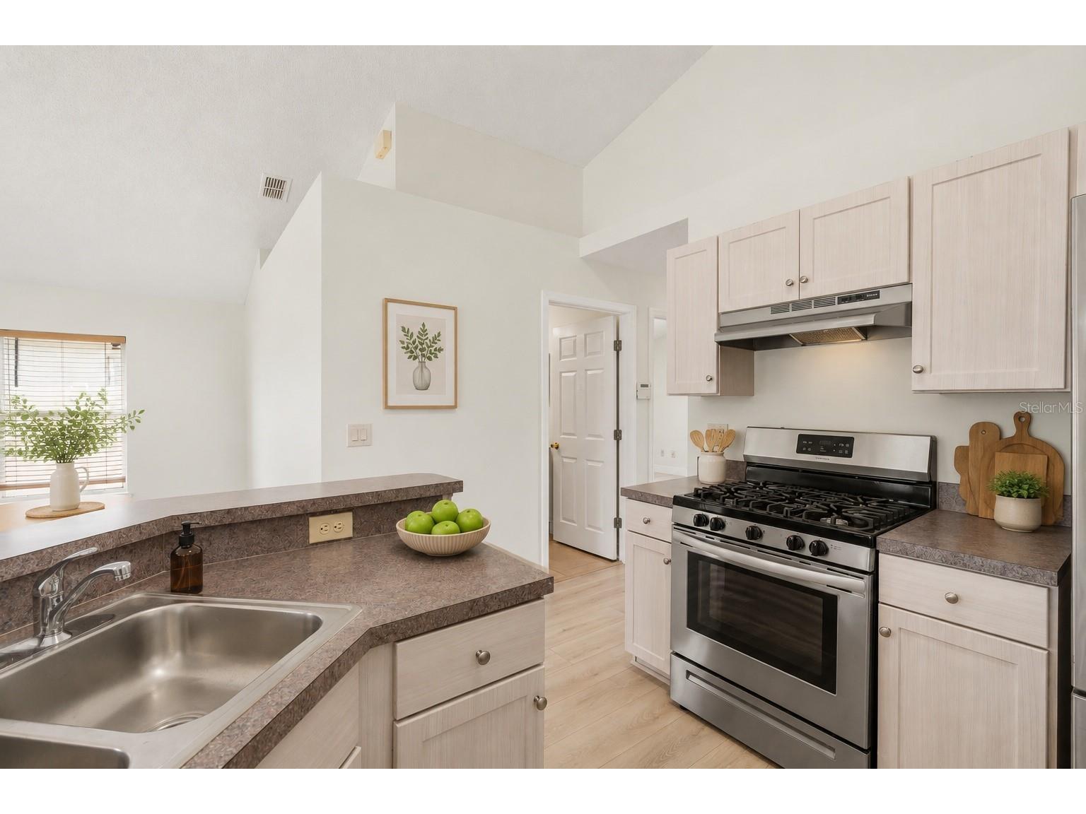 3018 Pineda Drive Orlando FL 32822 O6426392 image7