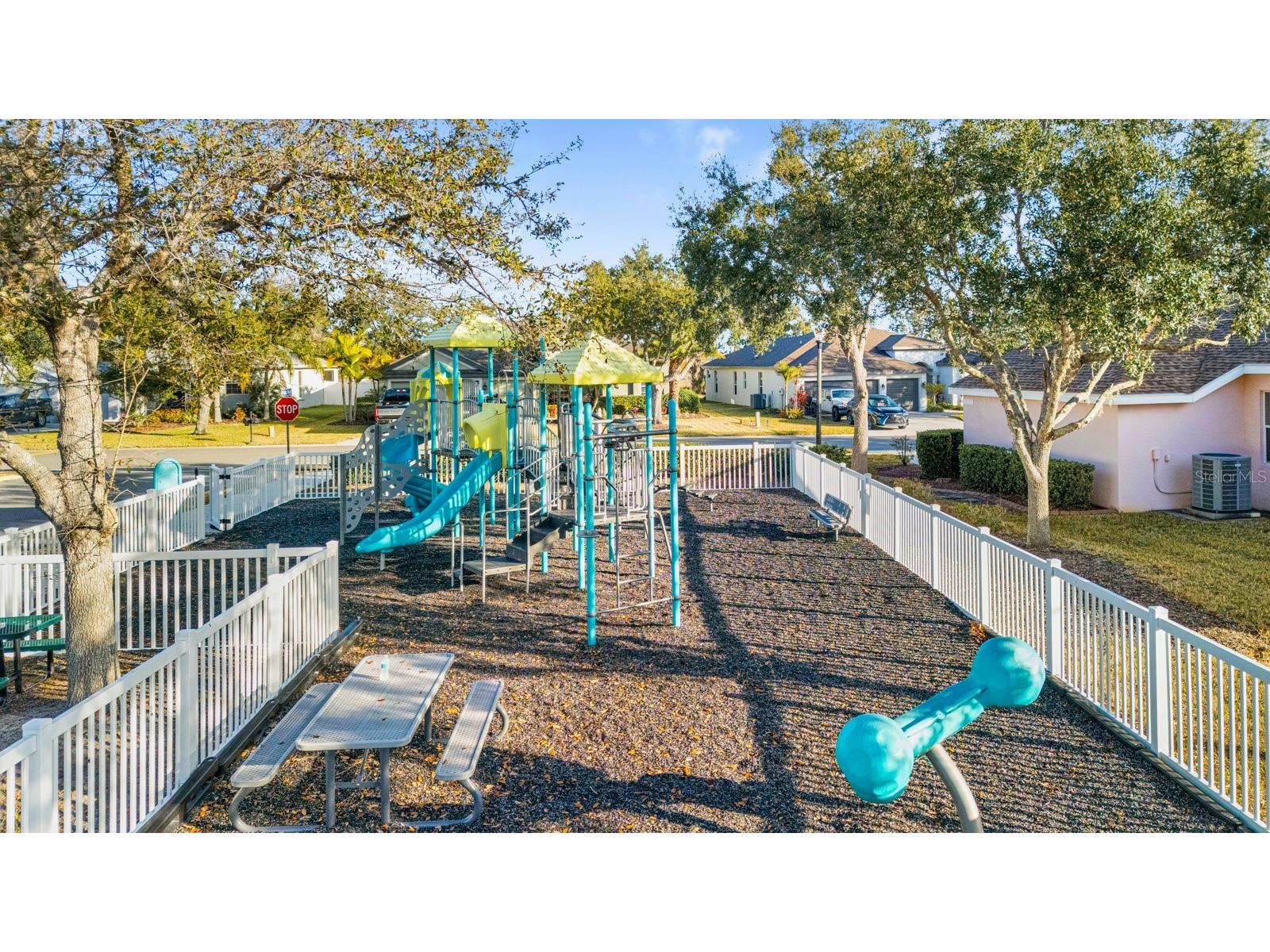 3019 124th Avenue E Parrish FL 34219 TB8477482 image43