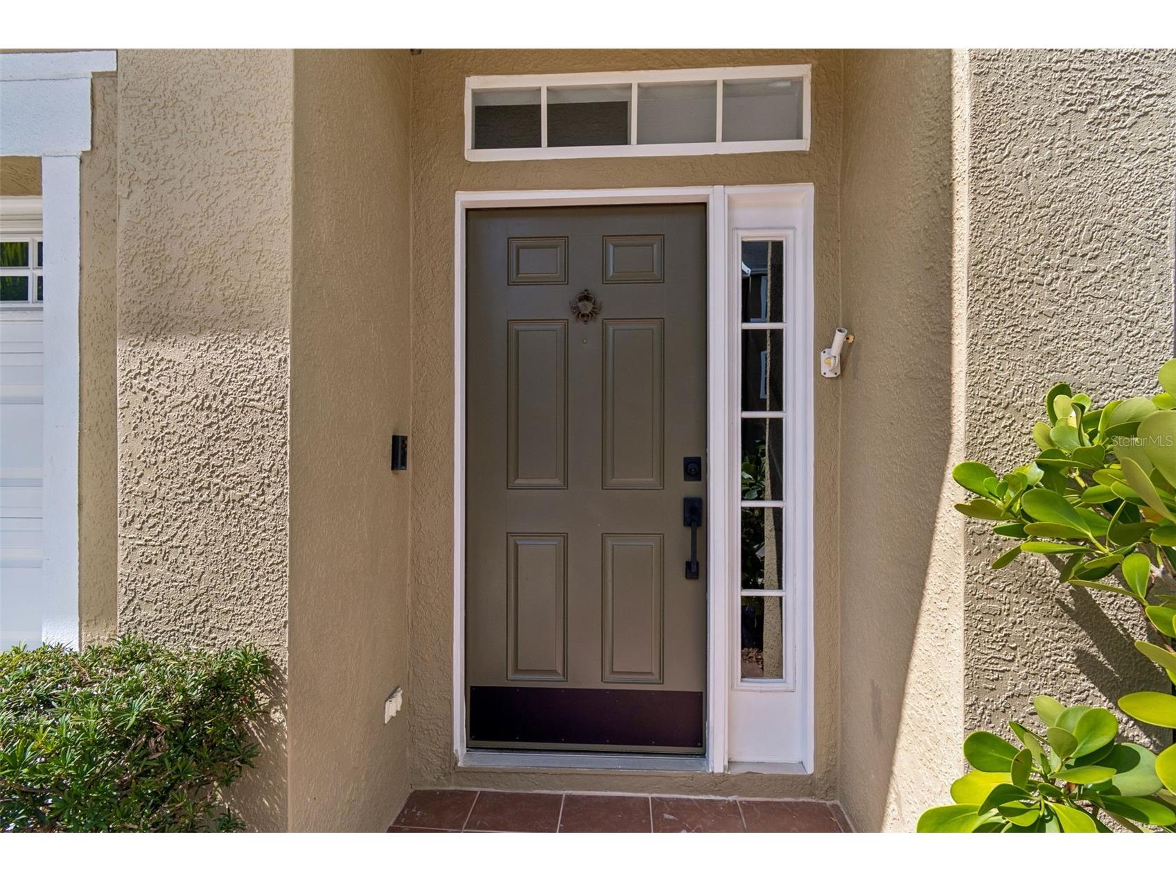 3019 Bayshore Pointe Drive Tampa FL 33611 TB8497661 image3