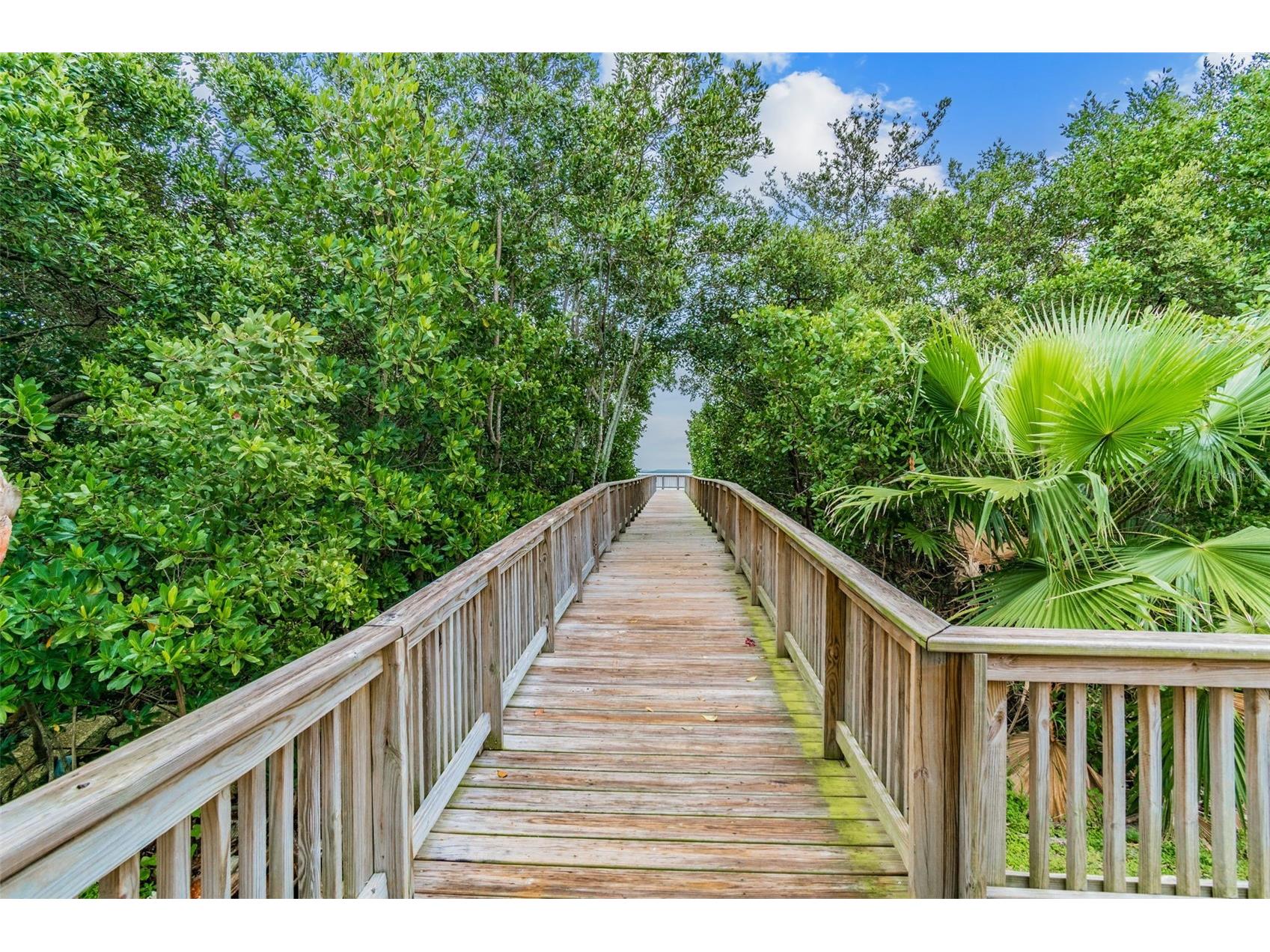 3019 Bayshore Pointe Drive Tampa FL 33611 TB8497661 image43