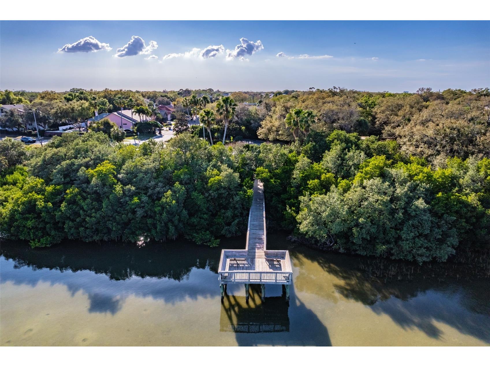 3019 Bayshore Pointe Drive Tampa FL 33611 TB8497661 image44