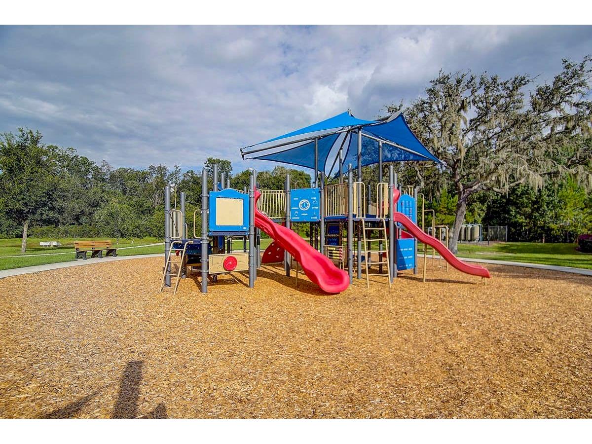 3019 Cordoba Ranch Boulevard Lutz FL 33559 TB8512996 image100