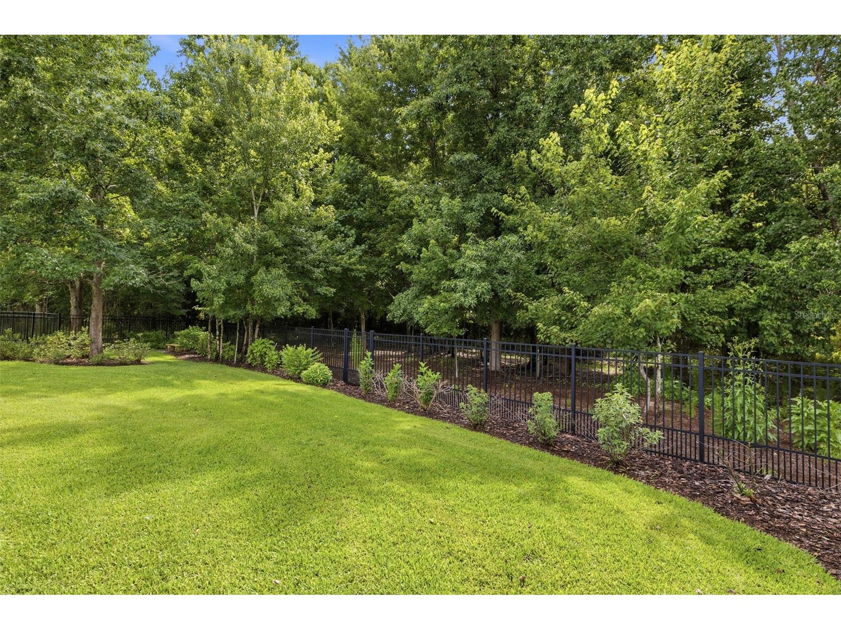 3019 Cordoba Ranch Boulevard Lutz FL 33559 TB8512996 image66