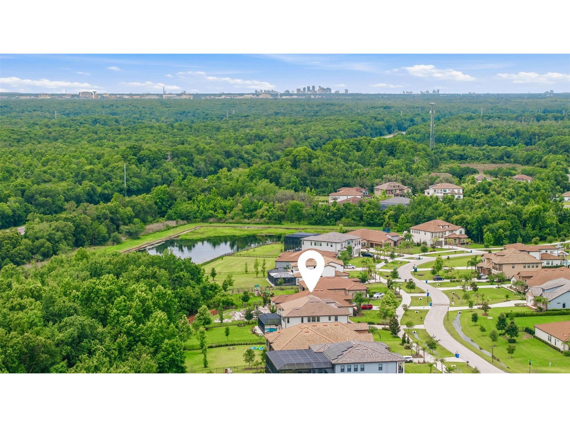 3019 Cordoba Ranch Boulevard Lutz FL 33559 TB8512996 image71