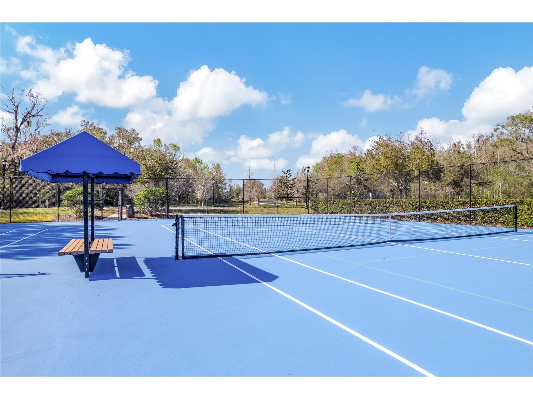3019 Cordoba Ranch Boulevard Lutz FL 33559 TB8512996 image98