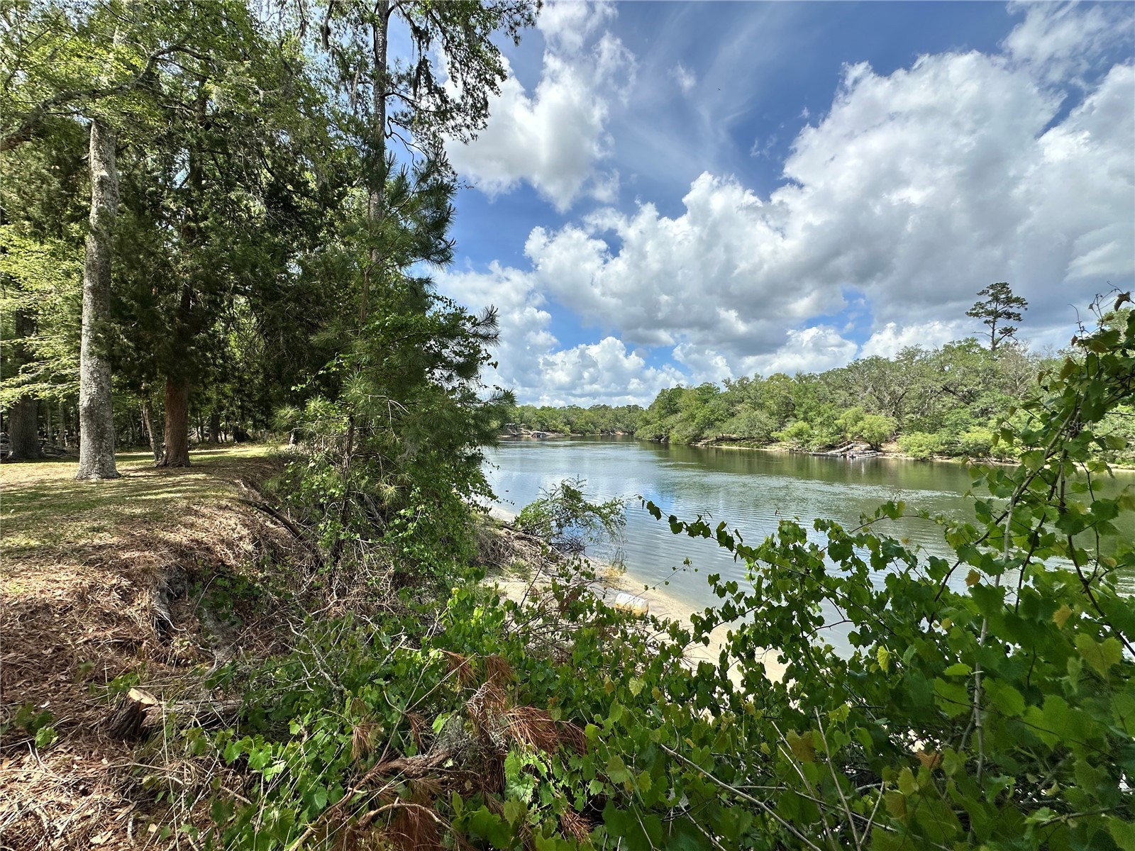3019 NE 709th Avenue Old Town FL 32680 - SUWANNEE RIVER GC540347 image2