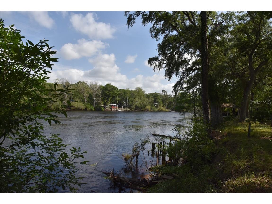 3019 NE 709th Avenue Old Town FL 32680 OM700493 image2