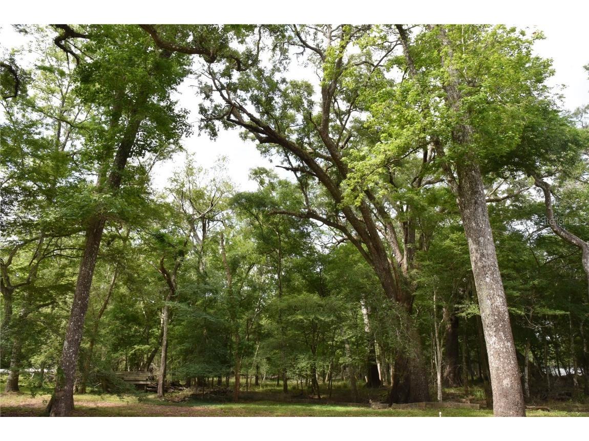 3019 NE 709th Avenue Old Town FL 32680 OM700493 image35