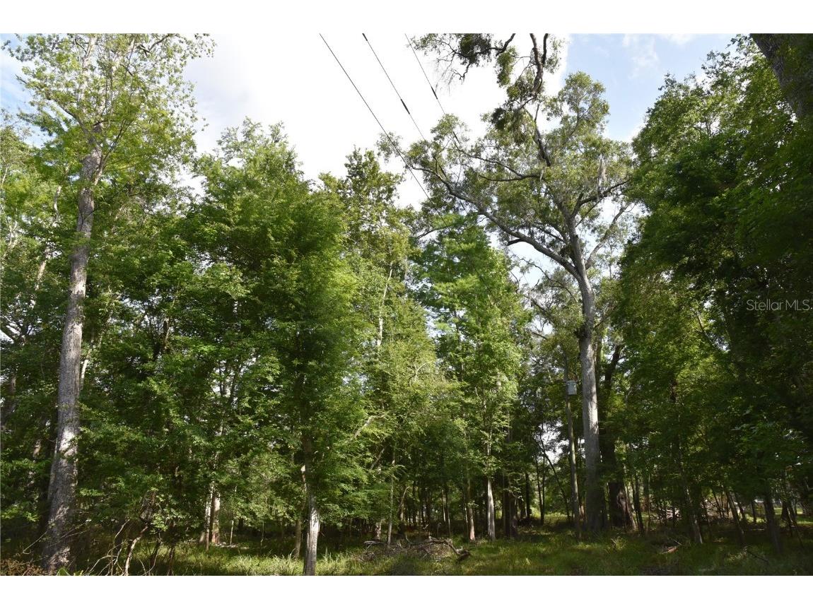 3019 NE 709th Avenue Old Town FL 32680 OM700493 image36