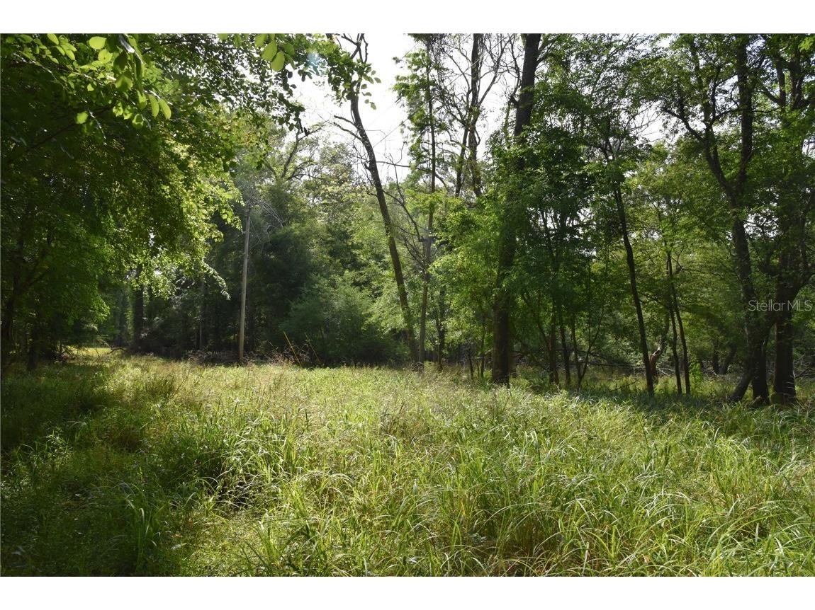 3019 NE 709th Avenue Old Town FL 32680 OM700493 image38