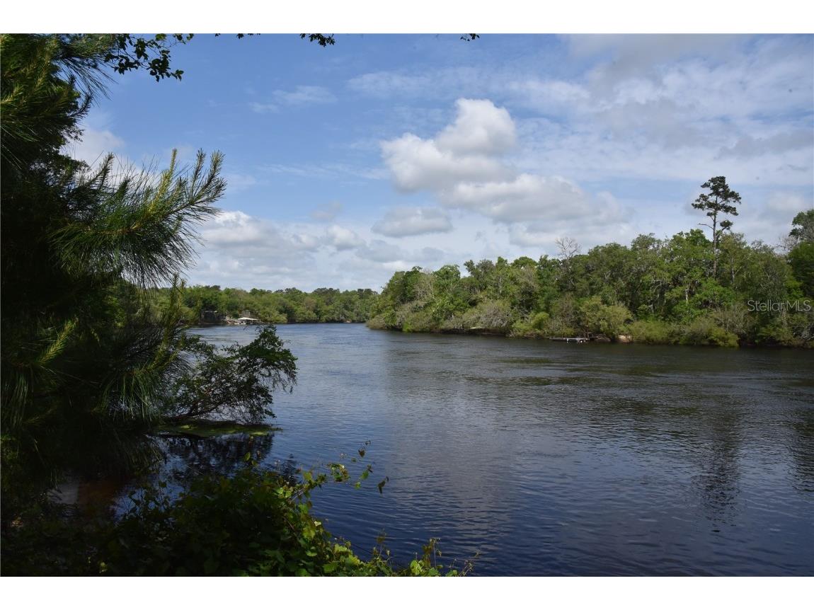 3019 NE 709th Avenue Old Town FL 32680 OM700493 image49