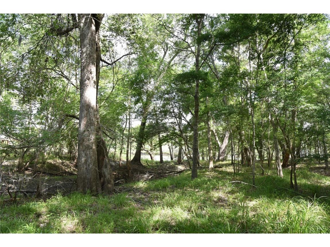 3019 NE 709th Avenue Old Town FL 32680 OM700493 image54