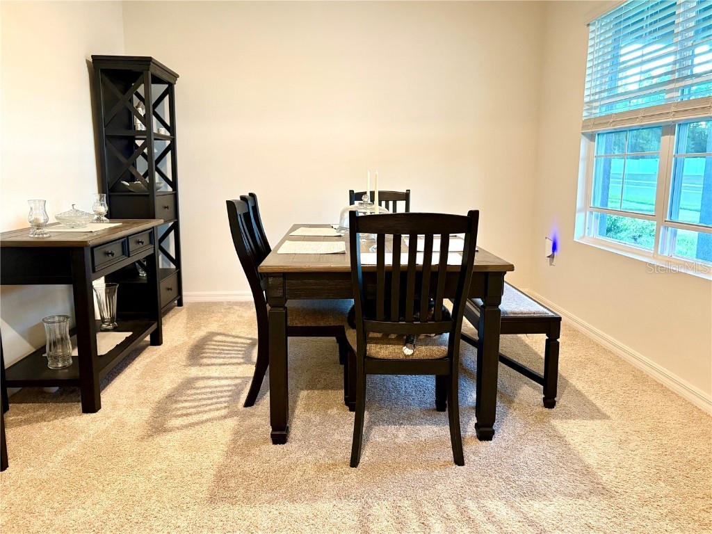 3019 Staten Drive Deltona FL 32738 O6343223 image4