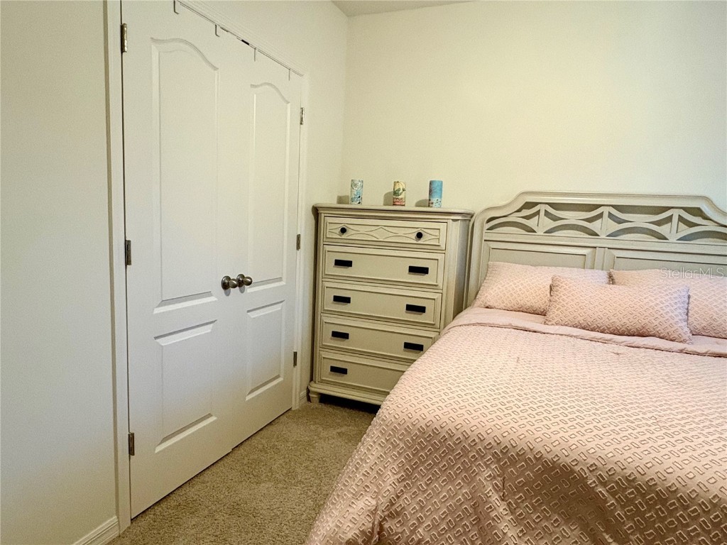 3019 Staten Drive Deltona FL 32738 O6343223 image50