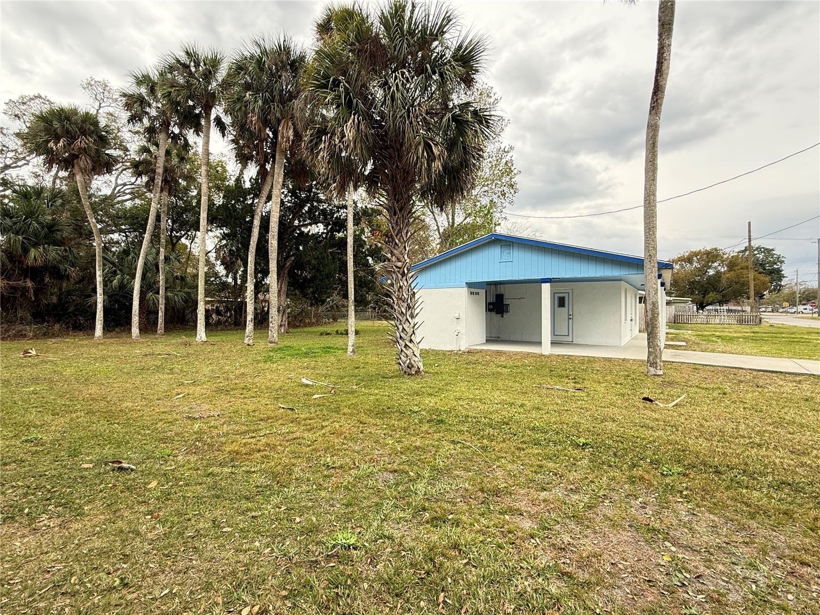 302 Adele Street Edgewater FL 32132 NS1087427 image31