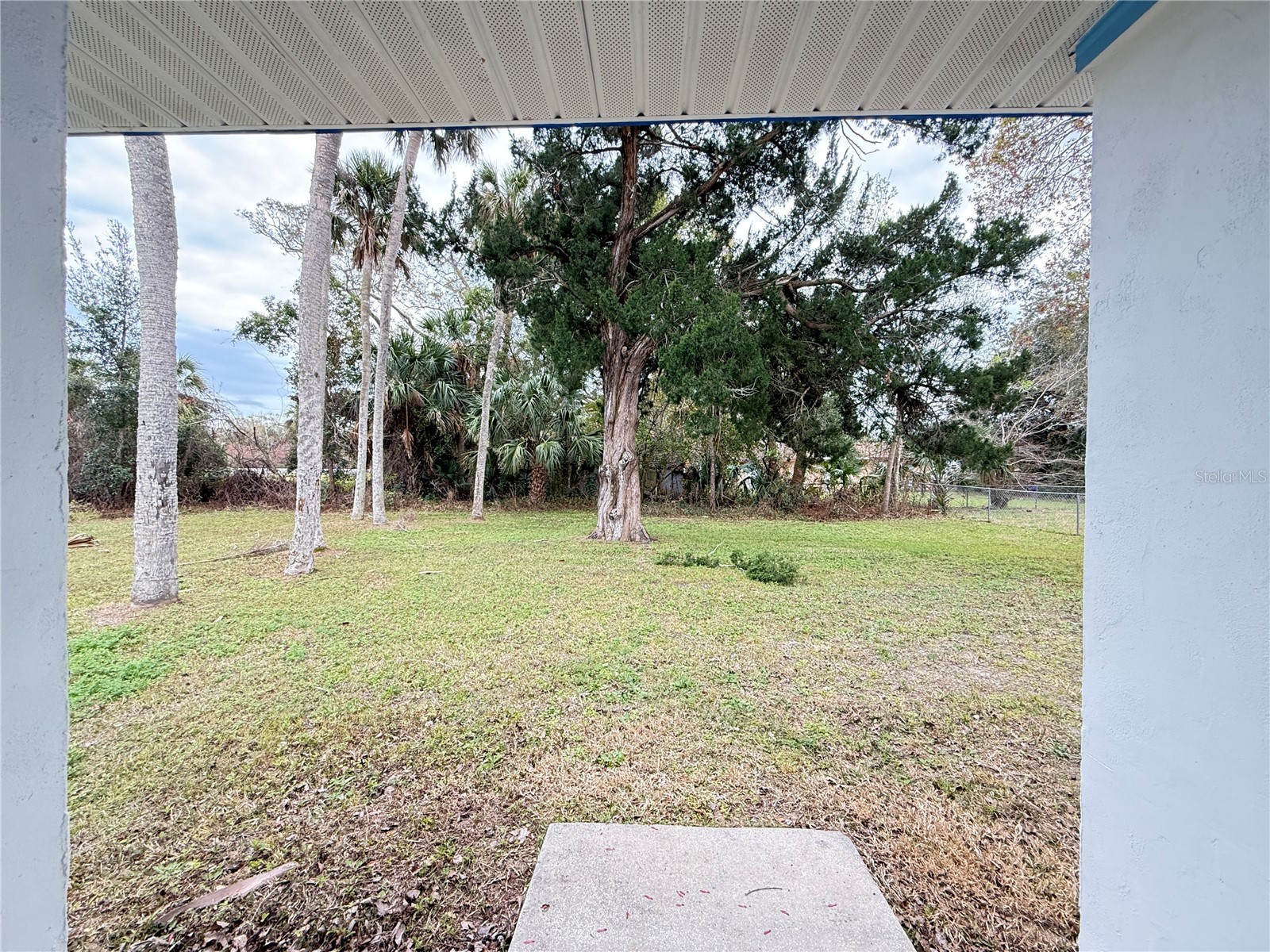 302 Adele Street Edgewater FL 32132 NS1087427 image32