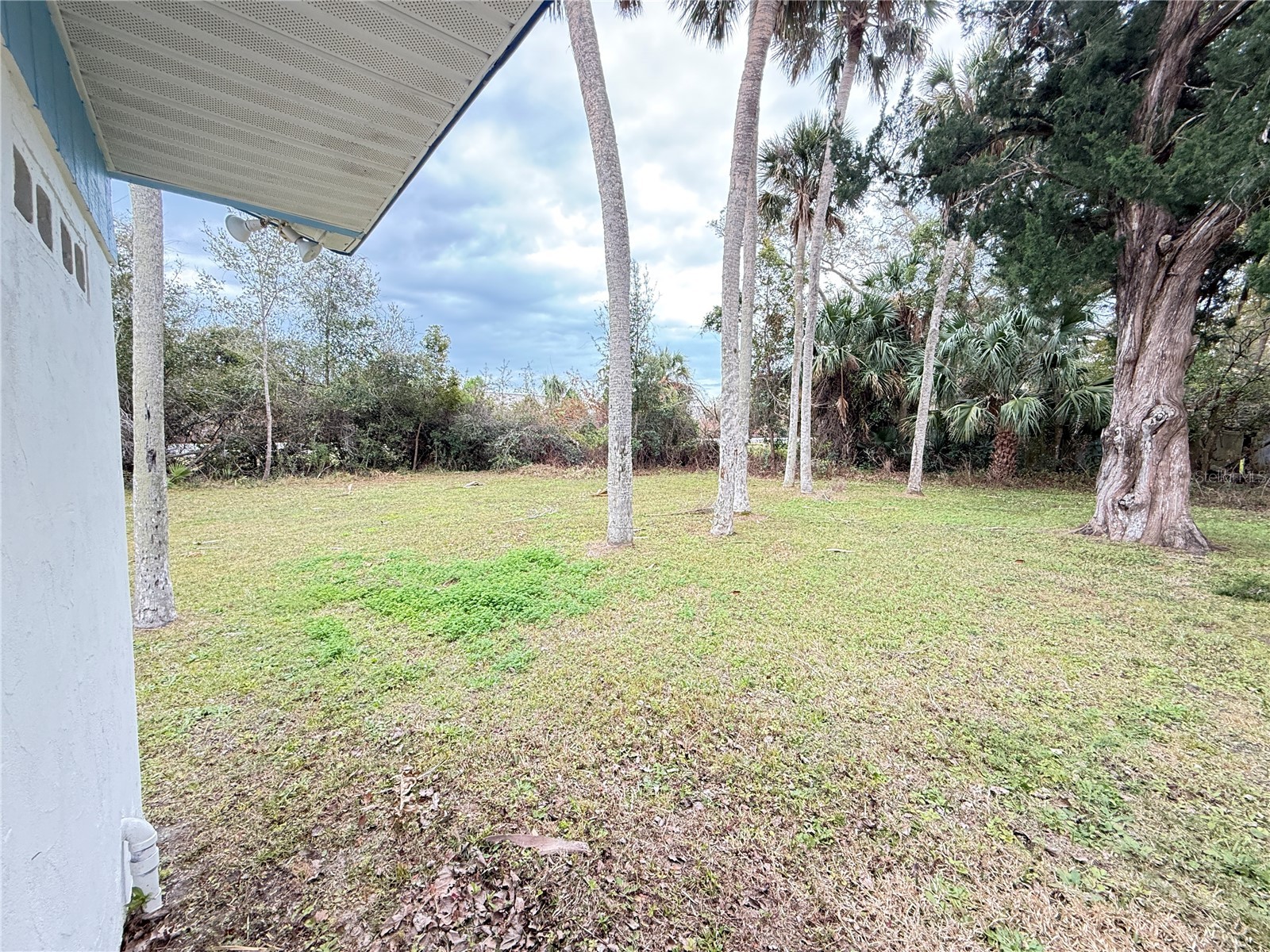 302 Adele Street Edgewater FL 32132 NS1087427 image33