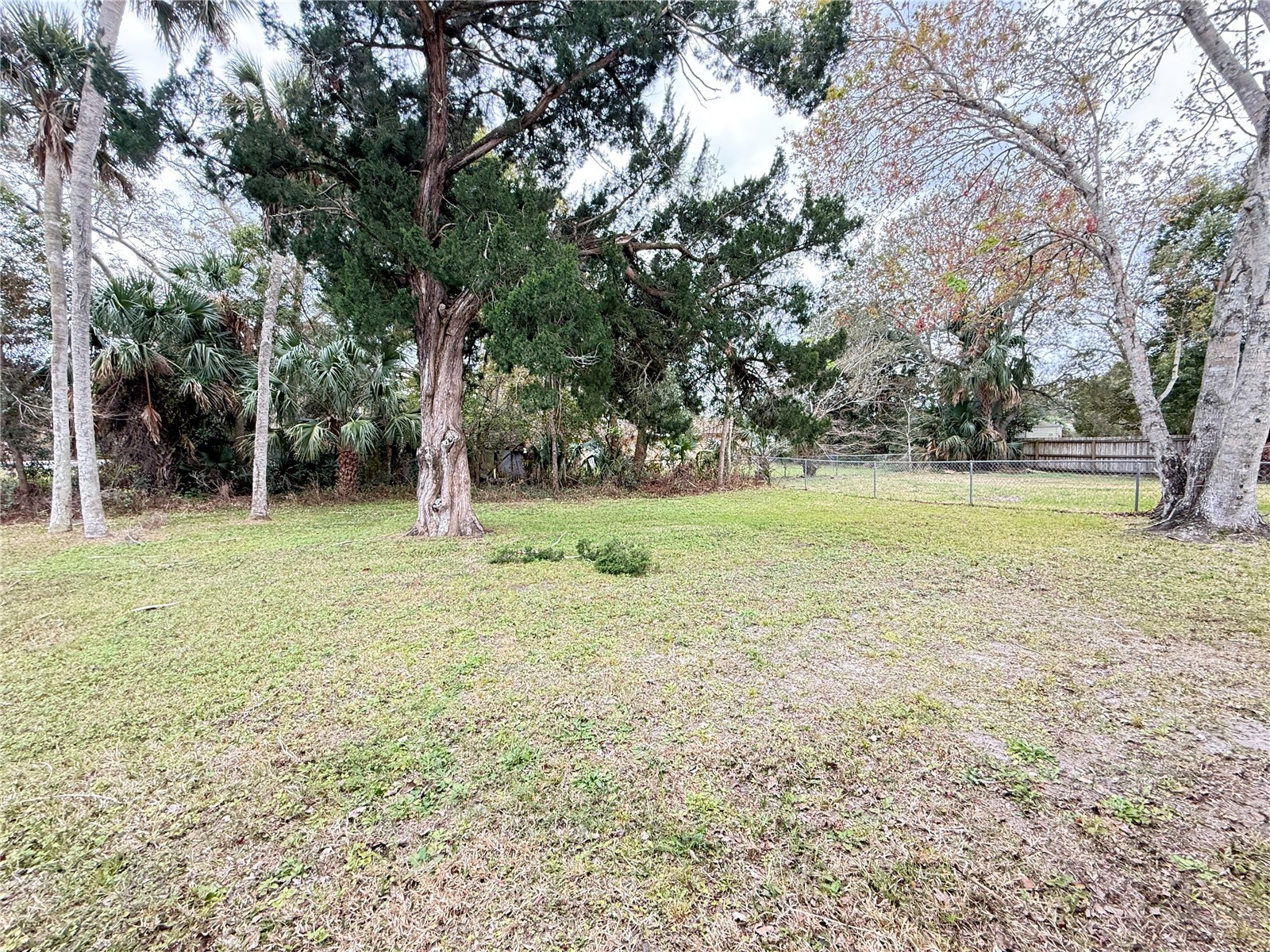 302 Adele Street Edgewater FL 32132 NS1087427 image34