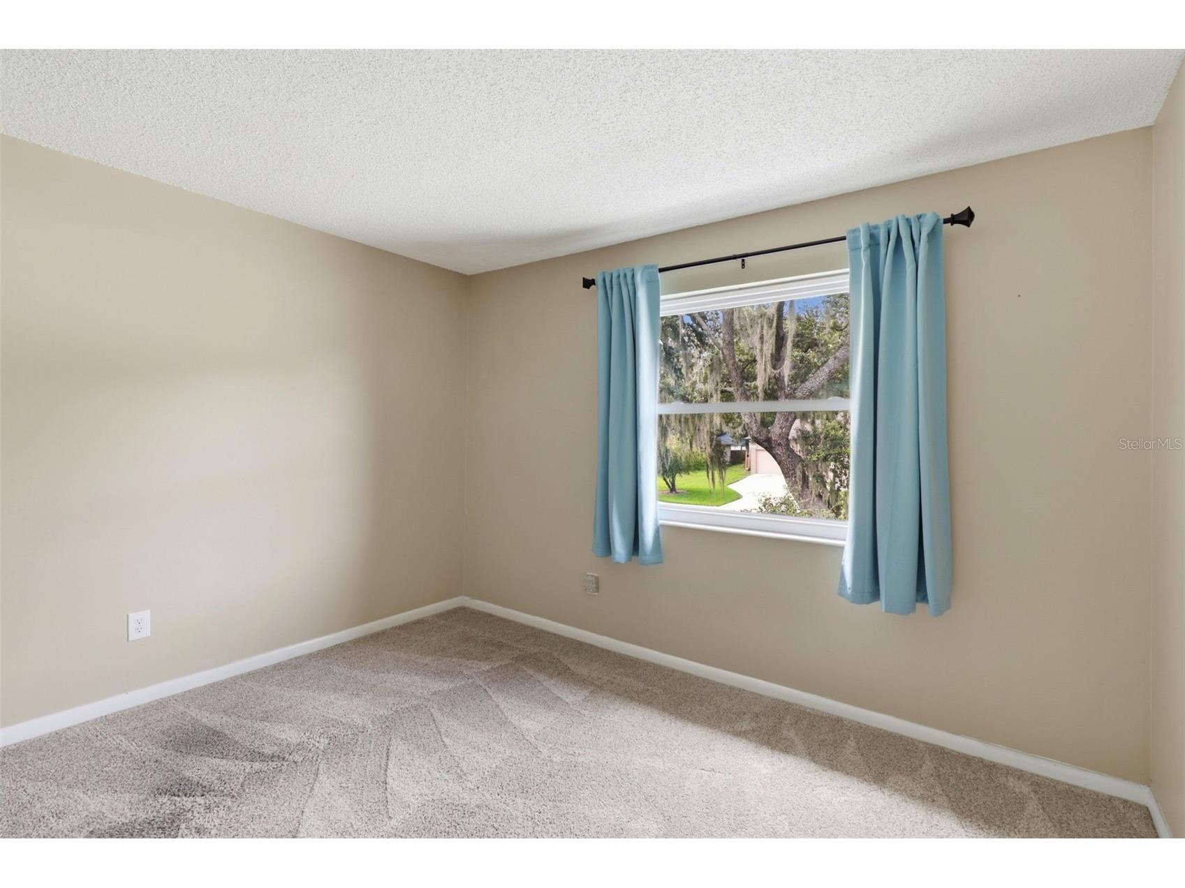 302 Bloomingfield Drive Brandon FL 33511 TB8527541 image41