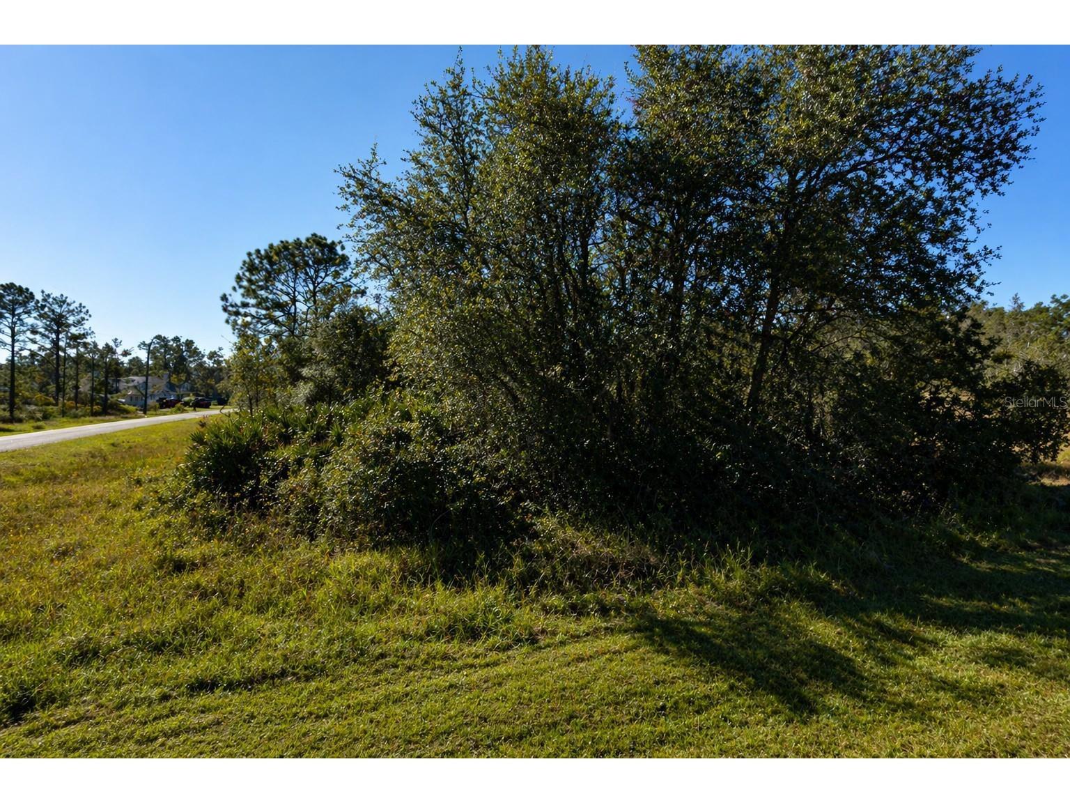 302 Bowfin Lane Kissimmee FL 34759 S5148450 image3