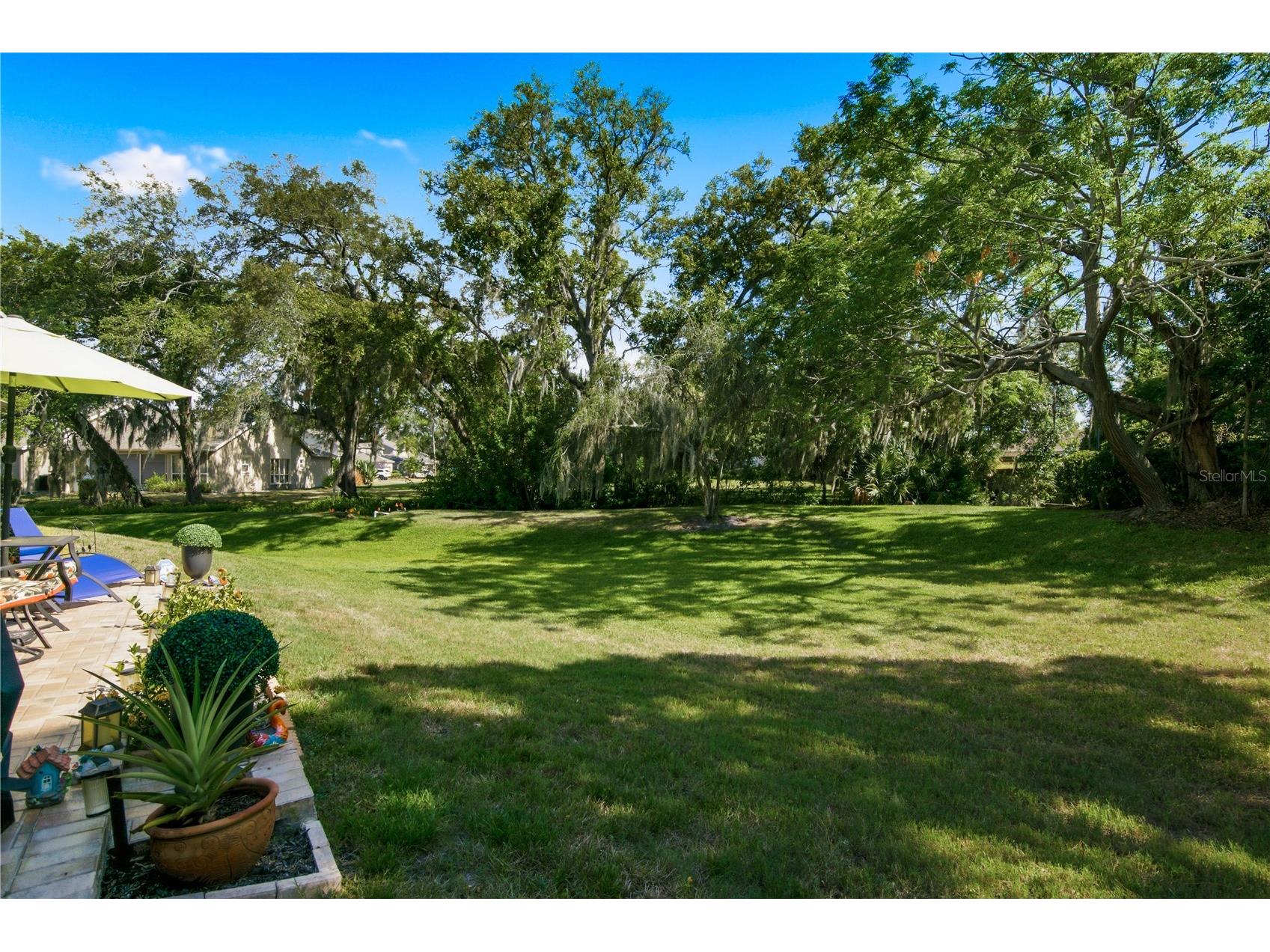 302 Buckingham Place Palm Harbor FL 34684 TB8525233 image23