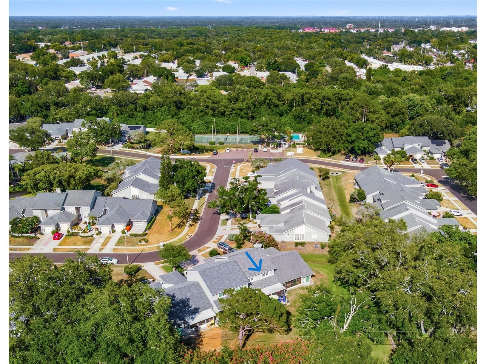 302 Buckingham Place Palm Harbor FL 34684 TB8525233 image25