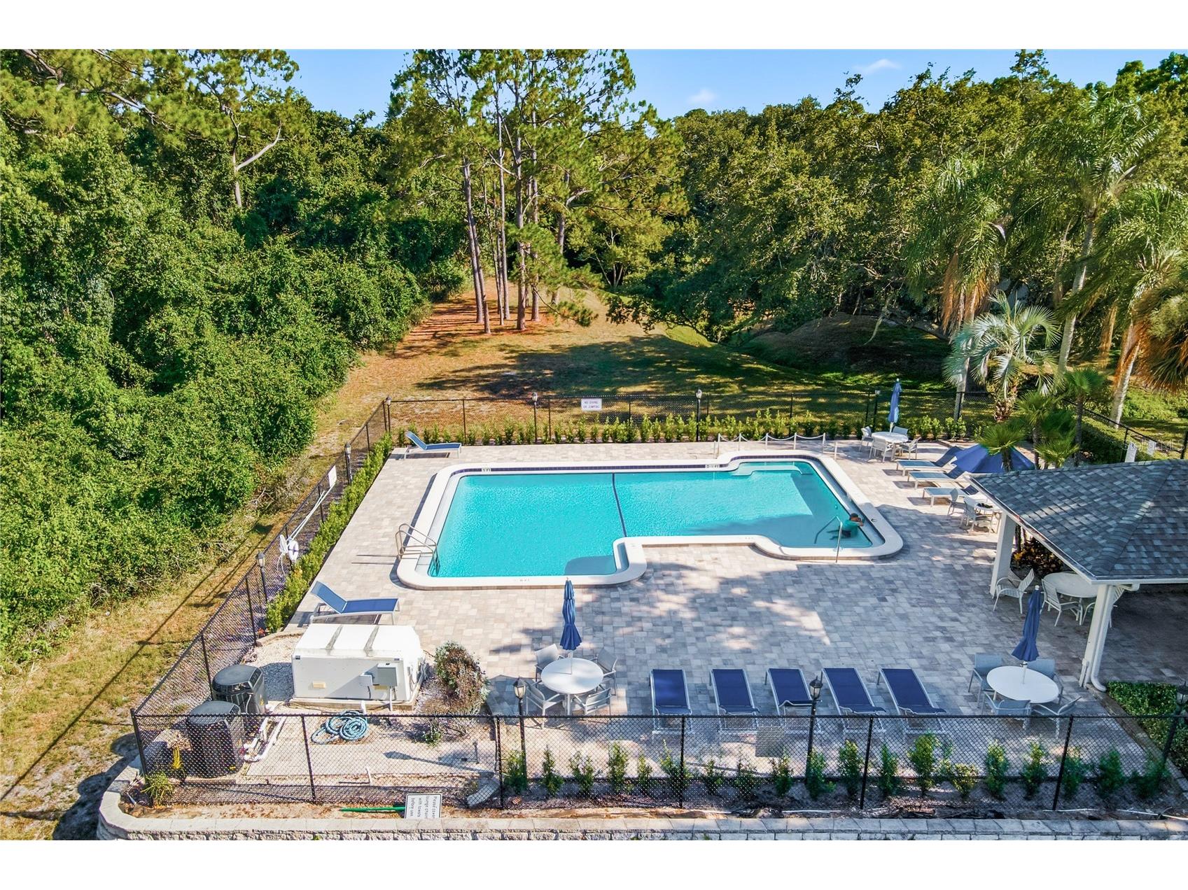 302 Buckingham Place Palm Harbor FL 34684 TB8525233 image26