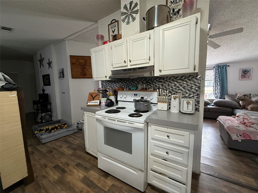 302 Donald Lane Winter Haven FL 33880 P4937306 image21