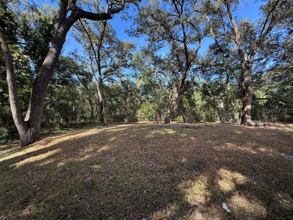 302 Donald Lane Winter Haven FL 33880 P4937306 image31