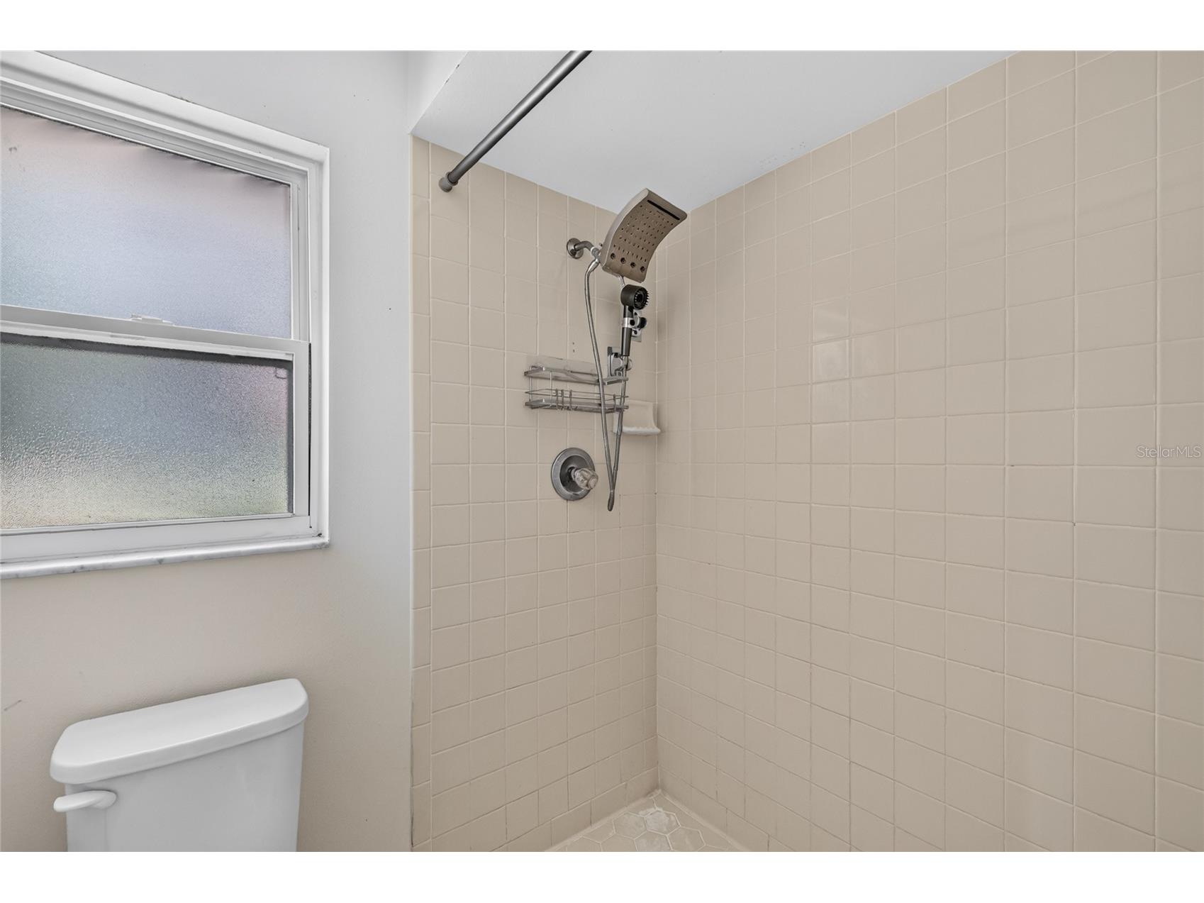 302 E Mirror Lake Drive Fruitland Park FL 34731 - Mirror Lake G5114324 image16
