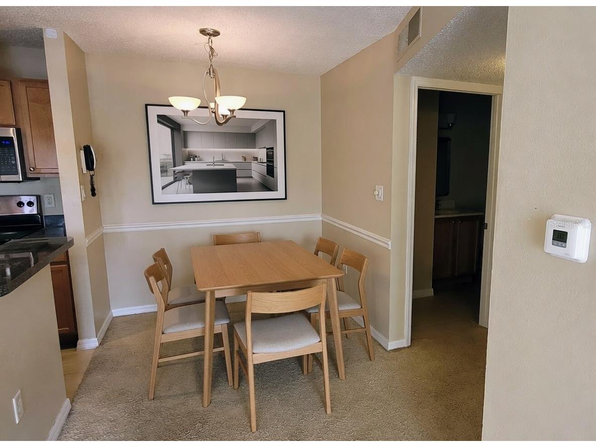 302 Lake Parsons Green #102 Brandon FL 33511 TB8496097 image4